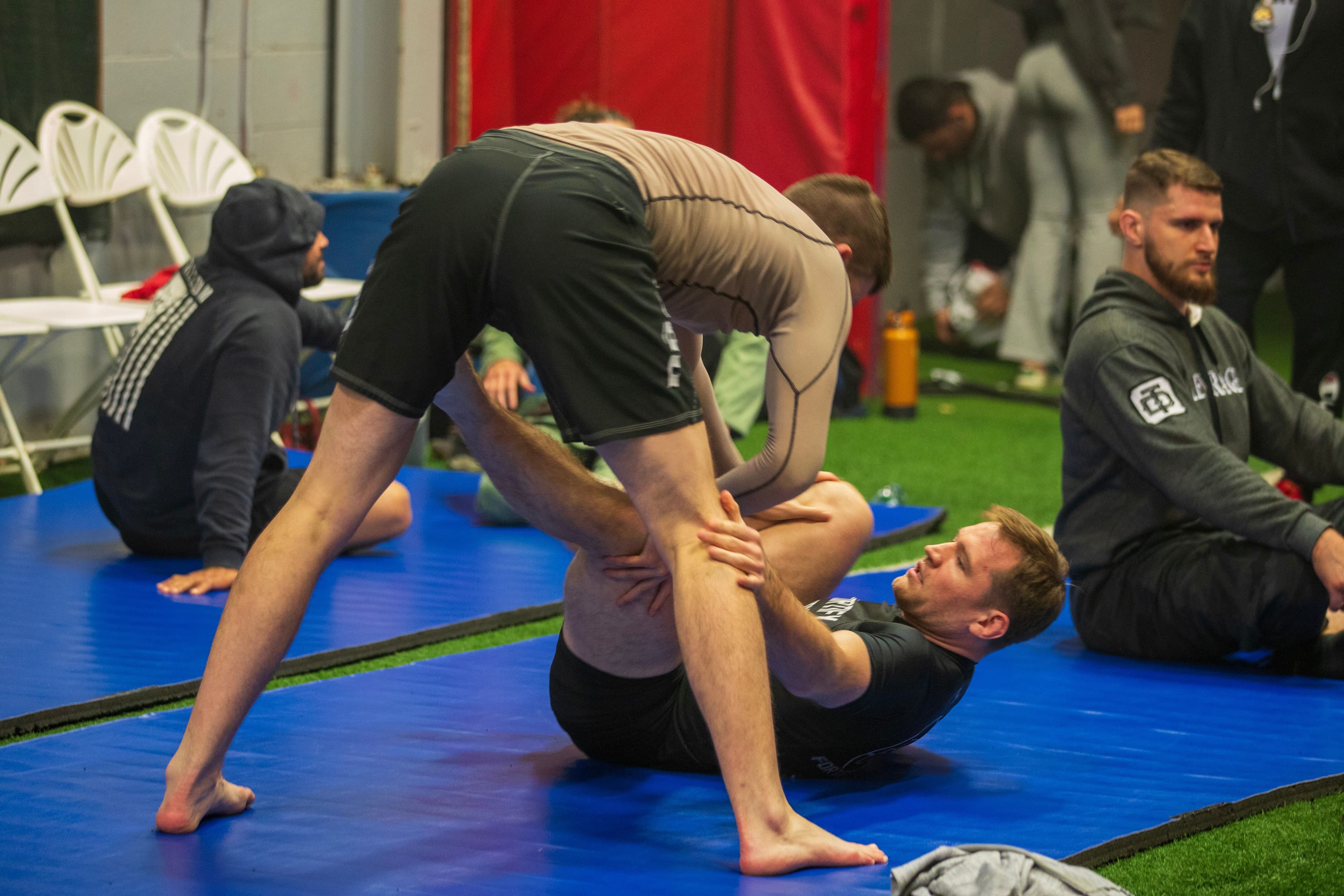 Preview image for the No Gi collection