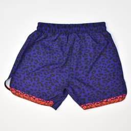 Image for Lion's Guard No Gi Shorts